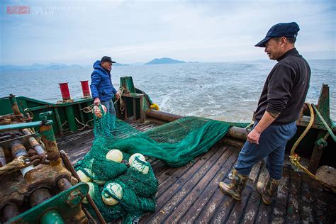 黄山海蜇大丰收 跟船出海见证捕捞作业全过程