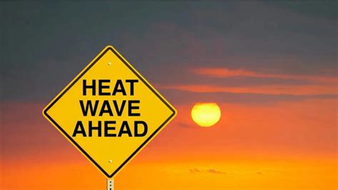 From 44.5°C heat to thunderstorms: IMD forecast for multiple states in ...