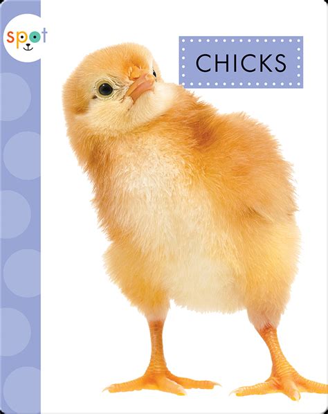Baby Farm Animals: Chicks Book by Anastasia Suen | Epic