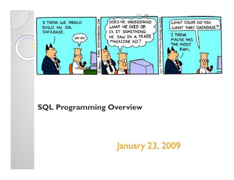 SQL Overview 的图像结果