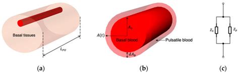 Towards Estimating Arterial Diameter Using Bioimpedance Spectroscopy: A ...
