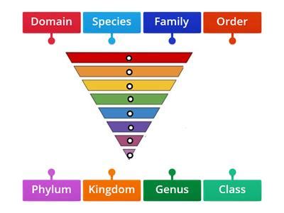 Image result for Taxonomy Code for LMSW