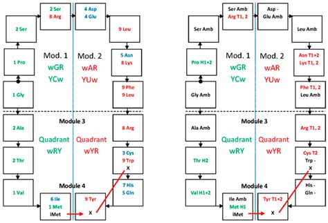 Self-Referential Encoding on Modules of Anticodon Pairs—Roots of the ...