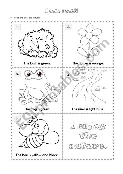 Image result for Nature Object Lessons