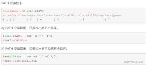 Ubuntu Exec Shell Skript 的图像结果