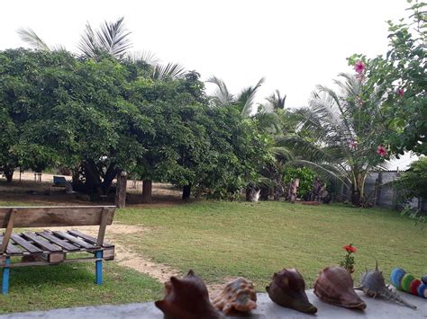 Dolphin Wadiya (Kalpitiya) - All You Need to Know BEFORE You Go