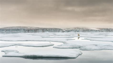 15 Biggest Environmental Problems of 2025 | Earth.Org