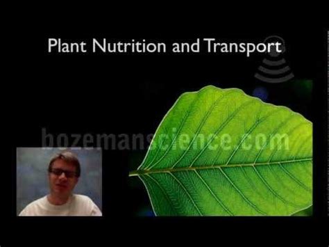 Transportation in Plants - Life Processes, Science Video Lecture - Class 10