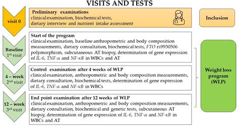 Initial Weight Loss, Anthropometric Parameters, and Proinflammatory ...
