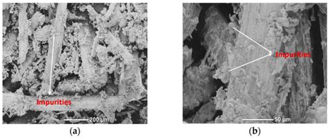 The Effect of Alkaline Treatment on Poly(lactic acid)/Date Palm Wood ...