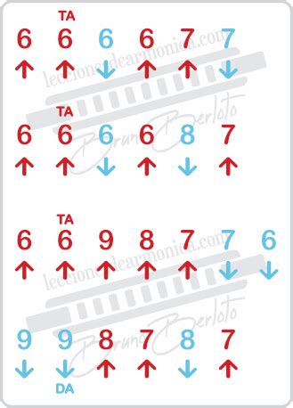 Easy harmonica songs for beginners (with tabs)