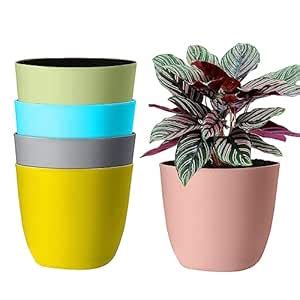 Oriley 10.5-Inch Self Water Plant Pots Easy to Maintain for Indoor ...