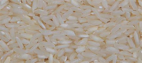 Parmal Raw Non Basmati Rice - Indus Agro Commodities