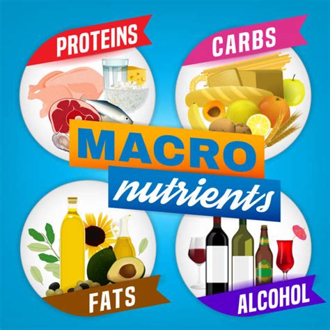 Image result for Macronutrients Graphics