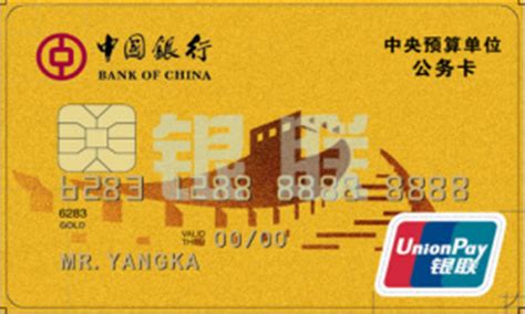 中国建设银行公务卡简介_word文档在线阅读与下载_免费文档