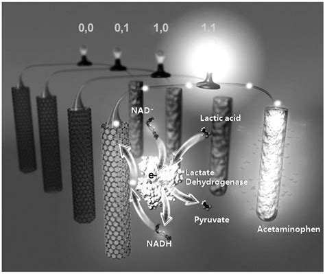 Biosensors with Built-In Biomolecular Logic Gates for Practical ...