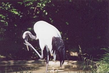 Hyner Run And Hyner View Parks