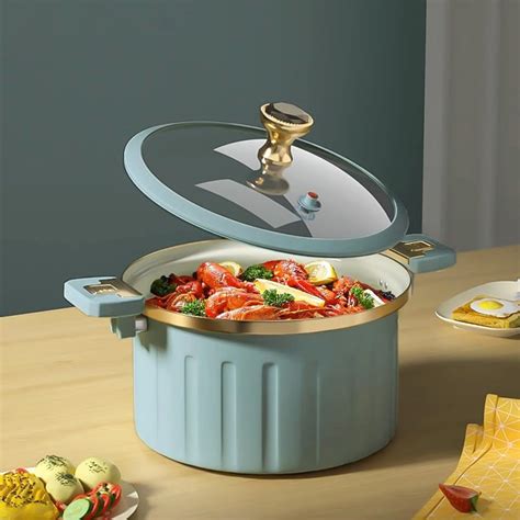 Multifunctional Non-Stick Micro Pressure Cooker – HOME ESSENTIALS