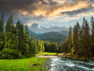 Bodkin Funeral Home | Milan, TN