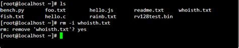 How To Remove Directory in Linux? Delete Folder and Files