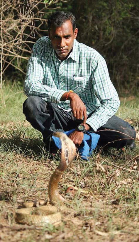 Heat brings out snakes