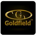 Goldfield Scale, Mumbai - Manufacturer of Weighing Machine and ...