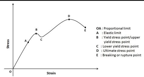 explain stress _ strain curve - Brainly.in
