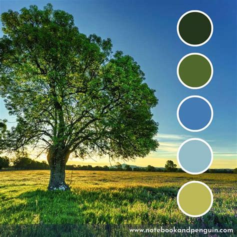 Image result for Blue and Green Color Code