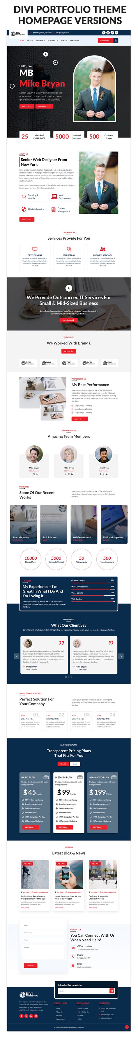 Divi Portfolio Theme - Divi Professional