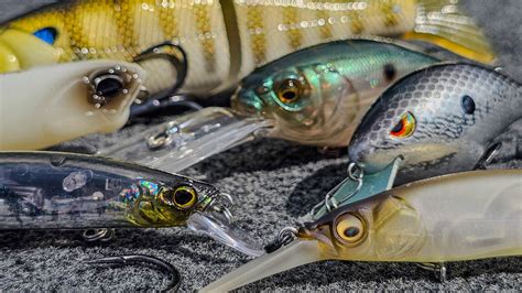 Top 5 Baits For October Bass Fishing! — Tactical Bassin' - Bass Fishing ...