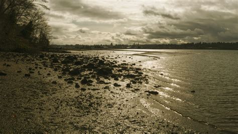 The Historical Story Of Creating Priest Point Park - ThurstonTalk