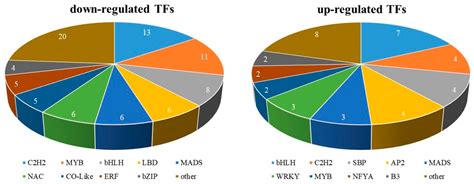 Transcriptome Analysis of Morus alba L. Flower Reveals Important Genes ...