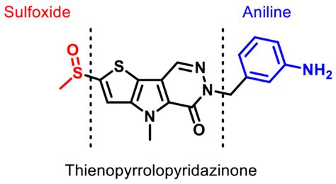 Image result for Pyruvate Molecule
