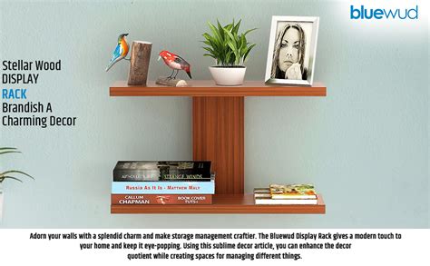 BLUEWUD Stellar Plus Engineered Wood Wall Decor Shelf, Display Rack, 2 ...