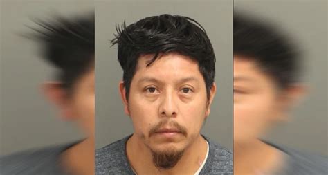 Alien Laborer 的图像结果