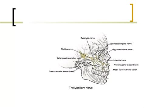 Local Anesthesia Injection 的图像结果