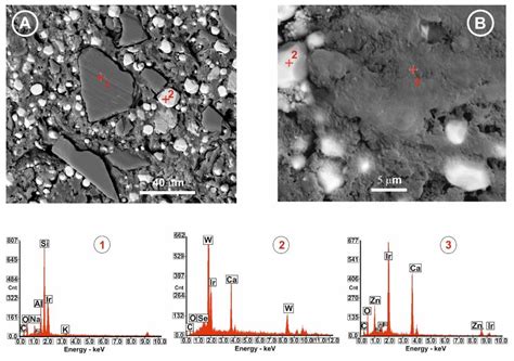 Adding Two Antimicrobial Glasses to an Endodontic Sealer to Prevent ...