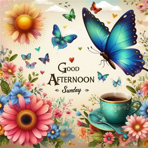123+ Good Afternoon Sunday Images, Pictures, Photos & Pics