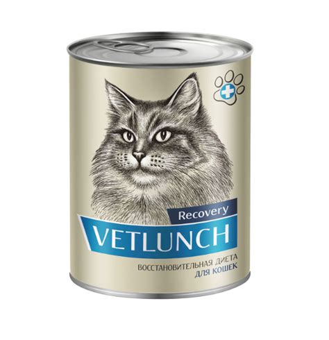 Корм для кошек Vetlunch Recovery Восстановительная диета для кошек в ...