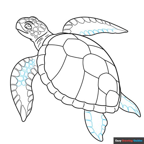 Image result for How to Draw House Using a Turtle