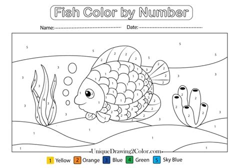 Fish Color Coding 的图像结果