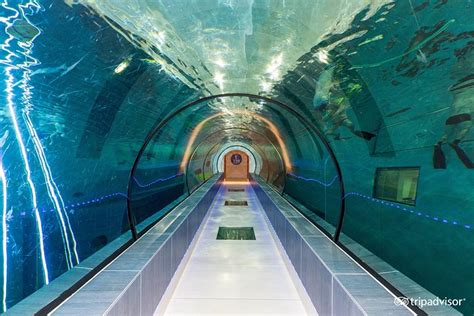 HOTEL TERME MILLEPINI (Montegrotto Terme) - Hotel Reviews, Photos, Rate ...