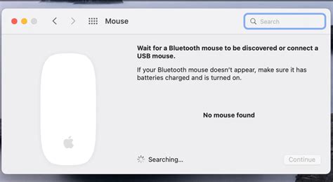 Image result for Support Mac Setup VM Mouse Not Working
