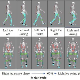 Image result for OpenSim GUI