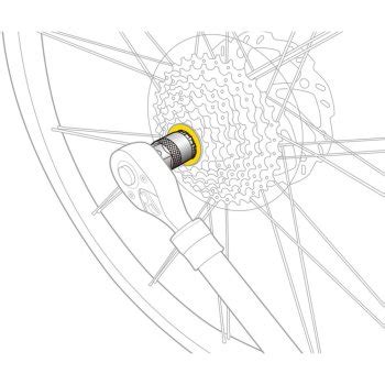 Topeak Freewheel Remover | BIKE24
