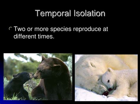 PPT - Speciation PowerPoint Presentation, free download - ID:217510