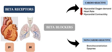 Efficacy and safety of beta-blockers in patients with comorbid chronic obstructive pulmonary ...