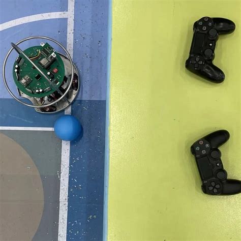 ROSHANO LAND (2024) All You Need to Know BEFORE You Go (with Photos ...