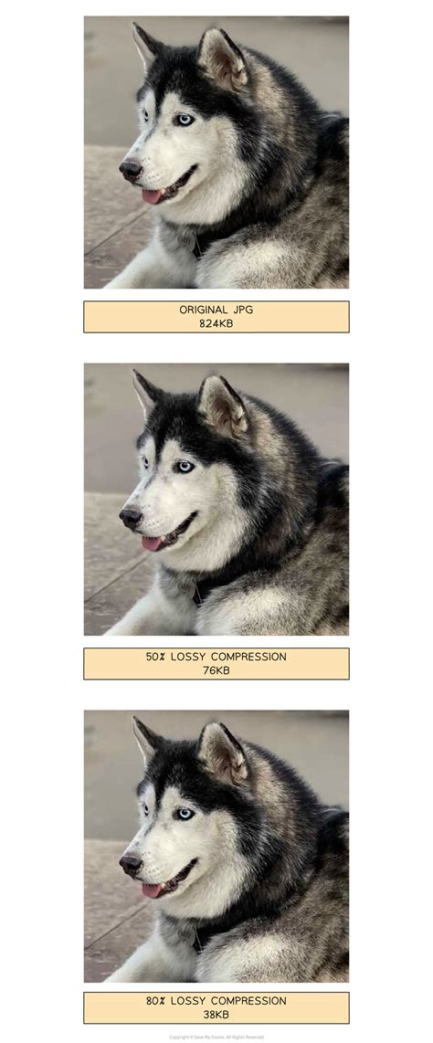 Image result for Compression Computer Science