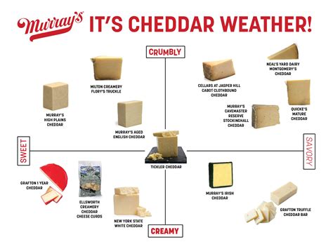 All About Cheddar: The Ultimate Guide to Cheddar Types | Murray's ...